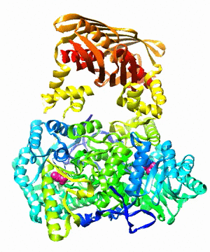 Isopropylmalate Synthase (PDB 1sr9)